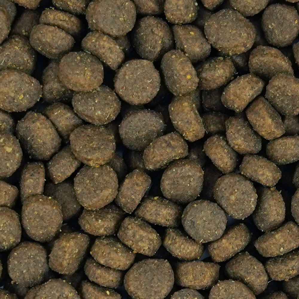 Büngener Complete Food For Junior-Adult Cat (Salmon)