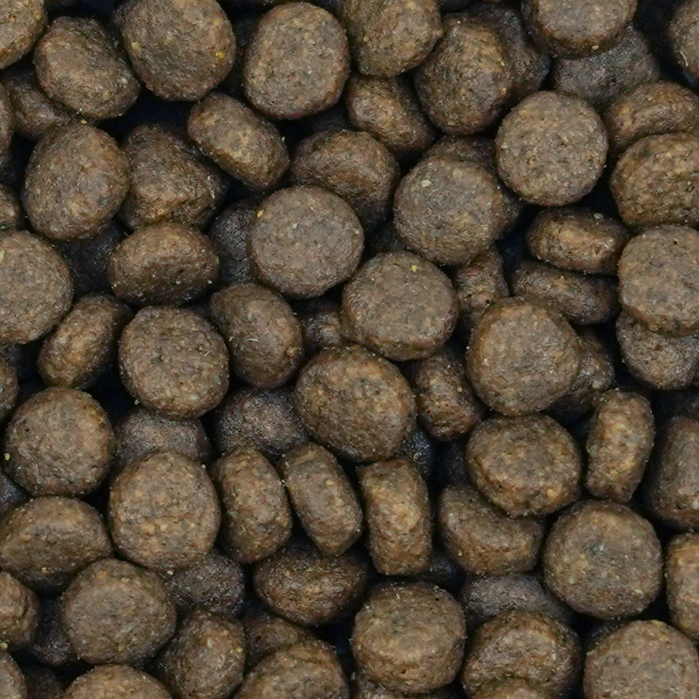 Büngener Complete Food For Junior-Adult Cat (Chicken)