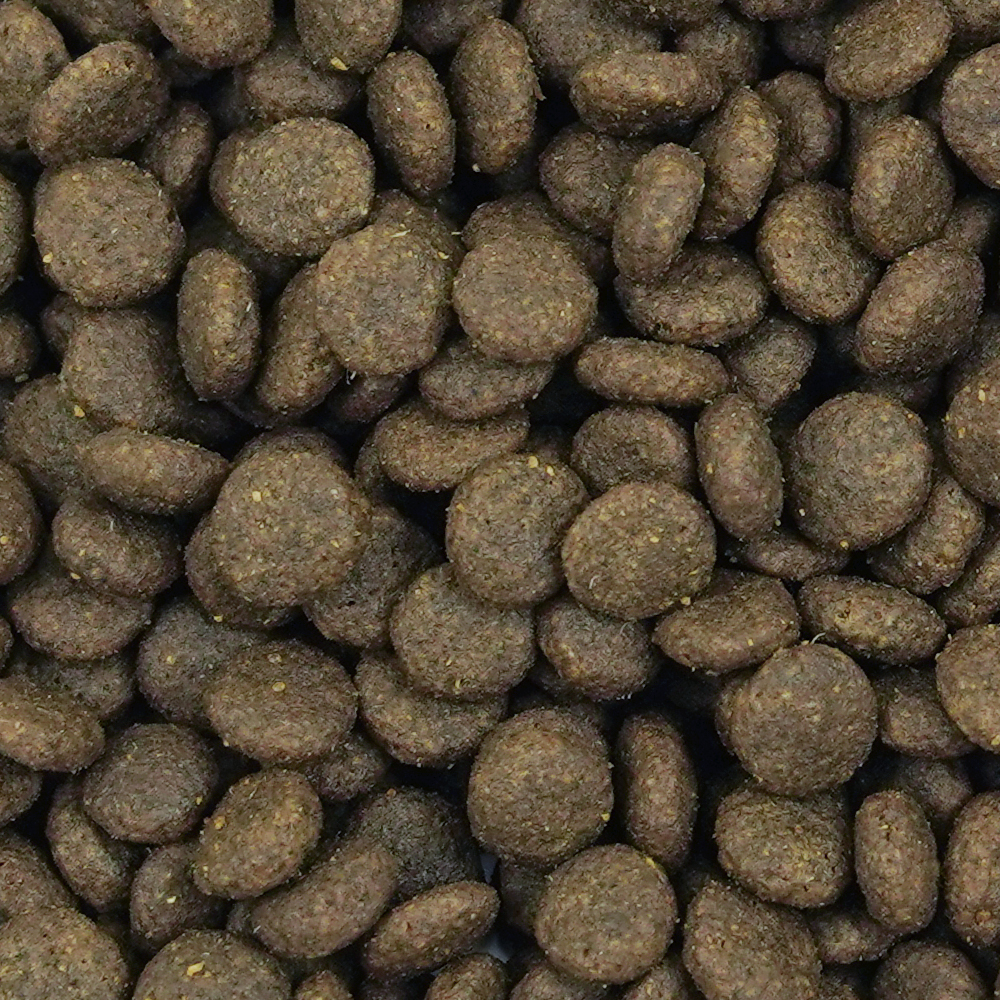 Büngener Complete Food For Junior-Adult Dog (Chicken)