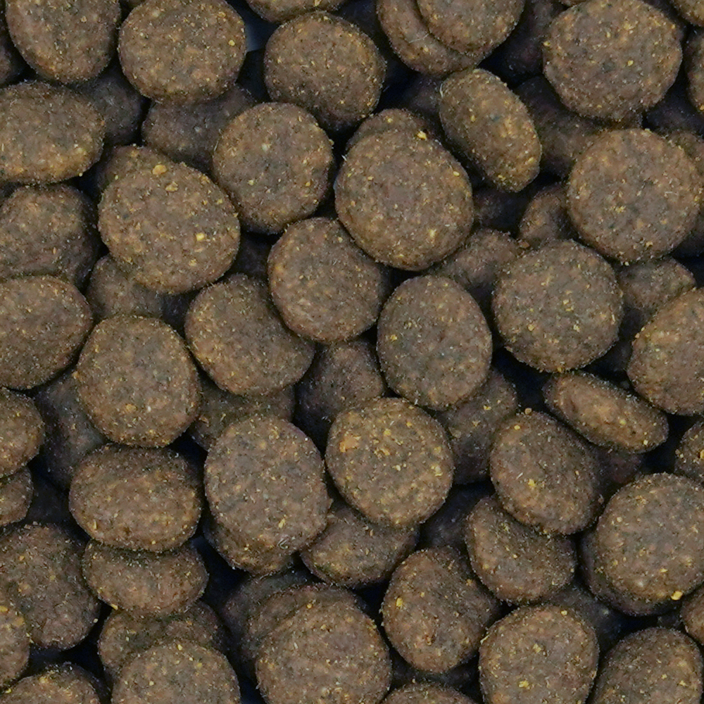 Büngener Complete Food For Junior-Adult Dog (Salmon)