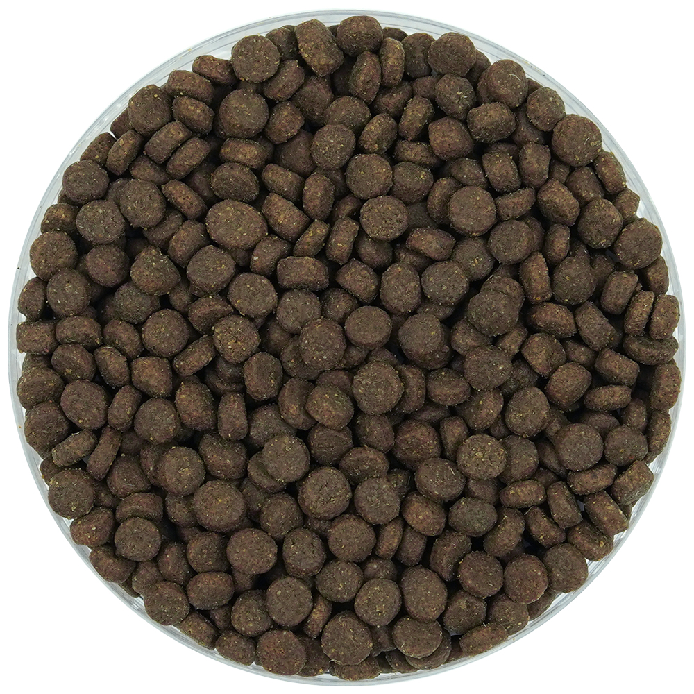 Büngener Complete Food For Junior-Adult Cat (Salmon)