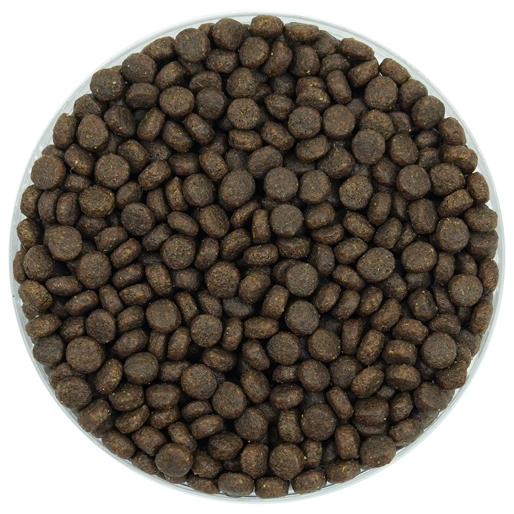 Büngener Complete Food For Junior-Adult Cat (Chicken)