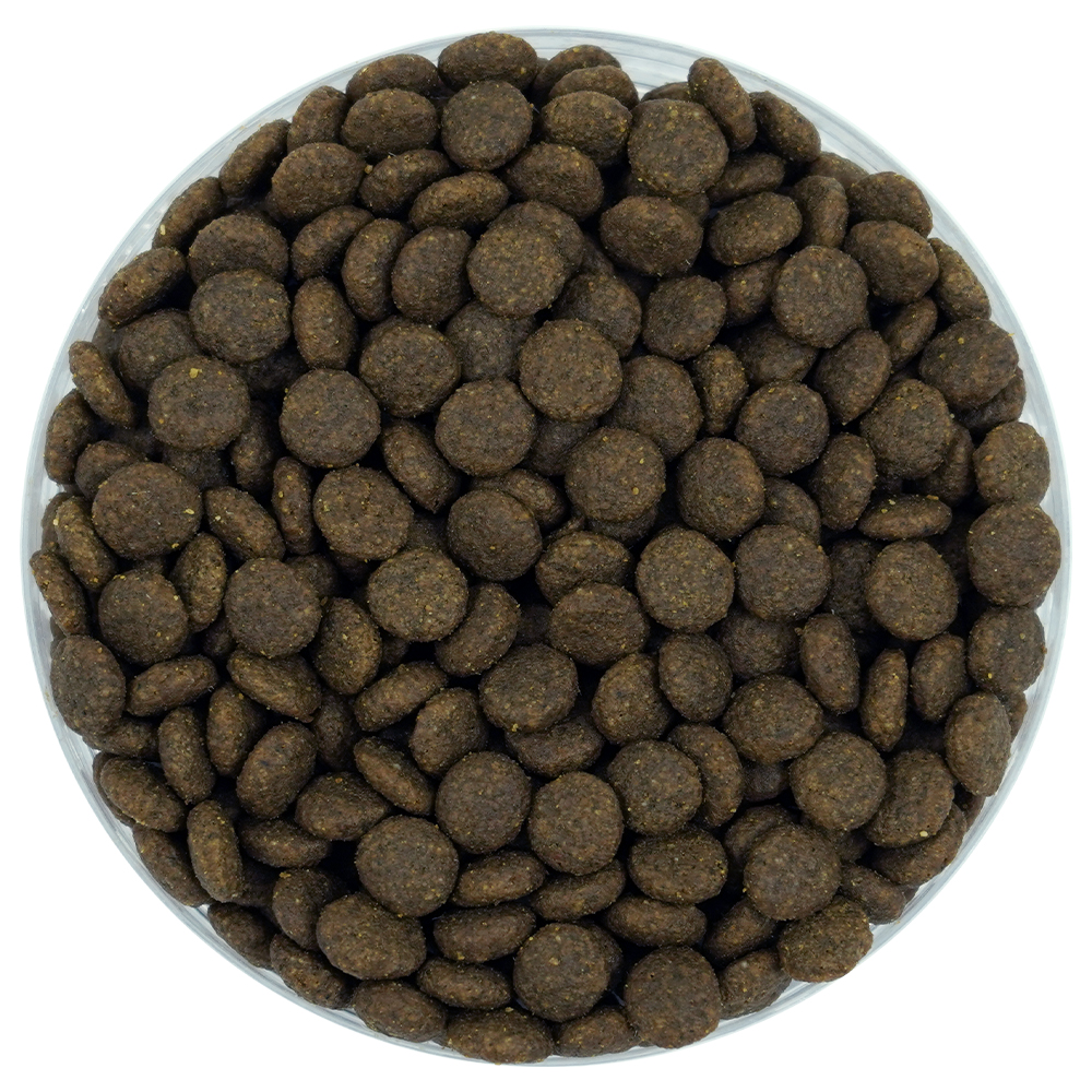 Büngener Complete Food For Junior-Adult Dog (Chicken)