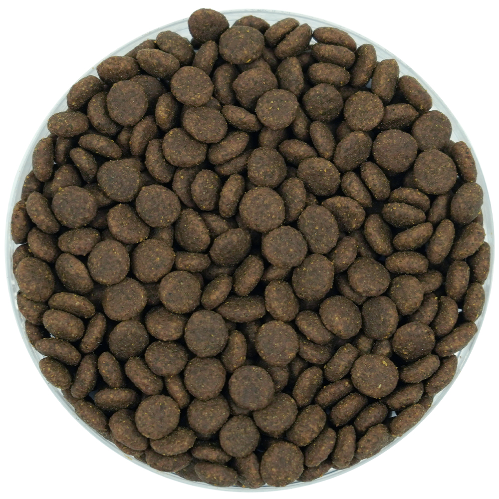 Büngener Complete Food For Junior-Adult Dog (Salmon)