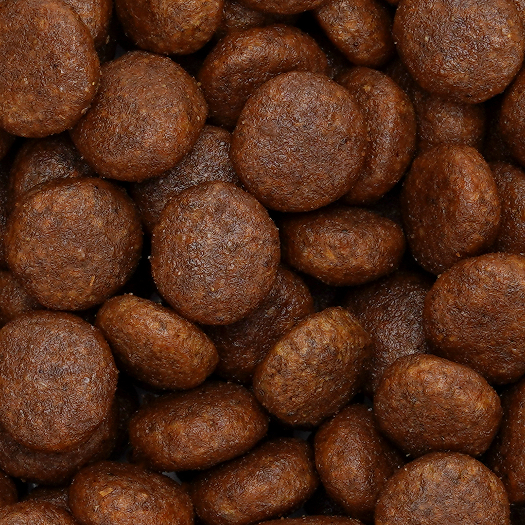 B&uuml;ngener Complete Food For Junior-Adult Dog (Salmon)